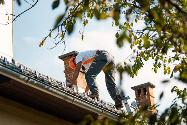 Best Roof Gutter Cleaning  in Eldorado, IL